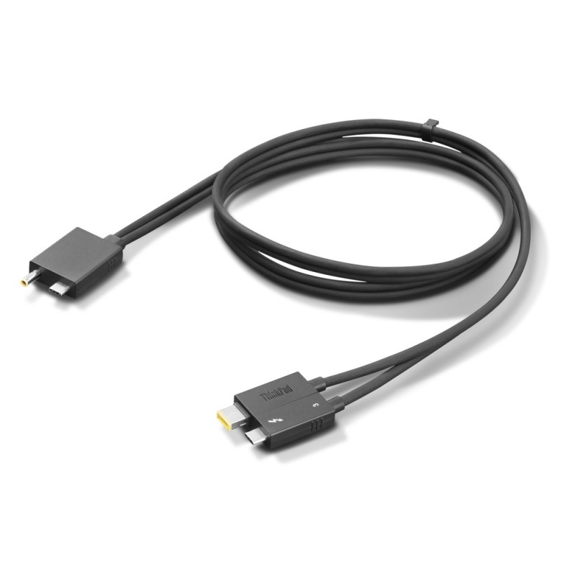 Lenovo 4X91K16970 Cavo Thunderbolt 0,7 m 40 Gbit s Nero Lenovo 4X91K16970 Cavo Thunderbolt 0,7 m 40 Gbit s Nero