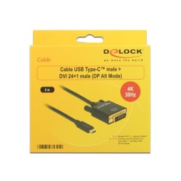 DeLOCK 2m, USB-C DVI 24+1 adattatore grafico USB 3840 x 2160 Pixel Nero