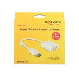 DeLOCK 62600 cavo e adattatore video 0,2 m DisplayPort DVI-I Bianco