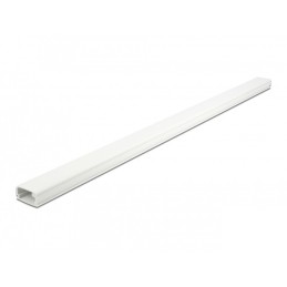 DeLOCK Passacavi con coperchio 26 x 13 mm - lunghezza 1 m bianco