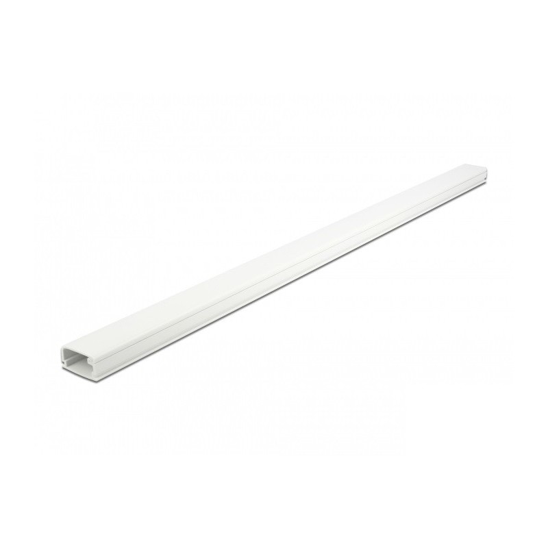 DeLOCK Passacavi con coperchio 26 x 13 mm - lunghezza 1 m bianco