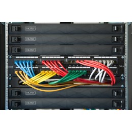 Digitus 1U copertura cieca, a scatto, per rack di rete e server