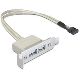 DeLOCK 0.5m Slotblech USB 2.0