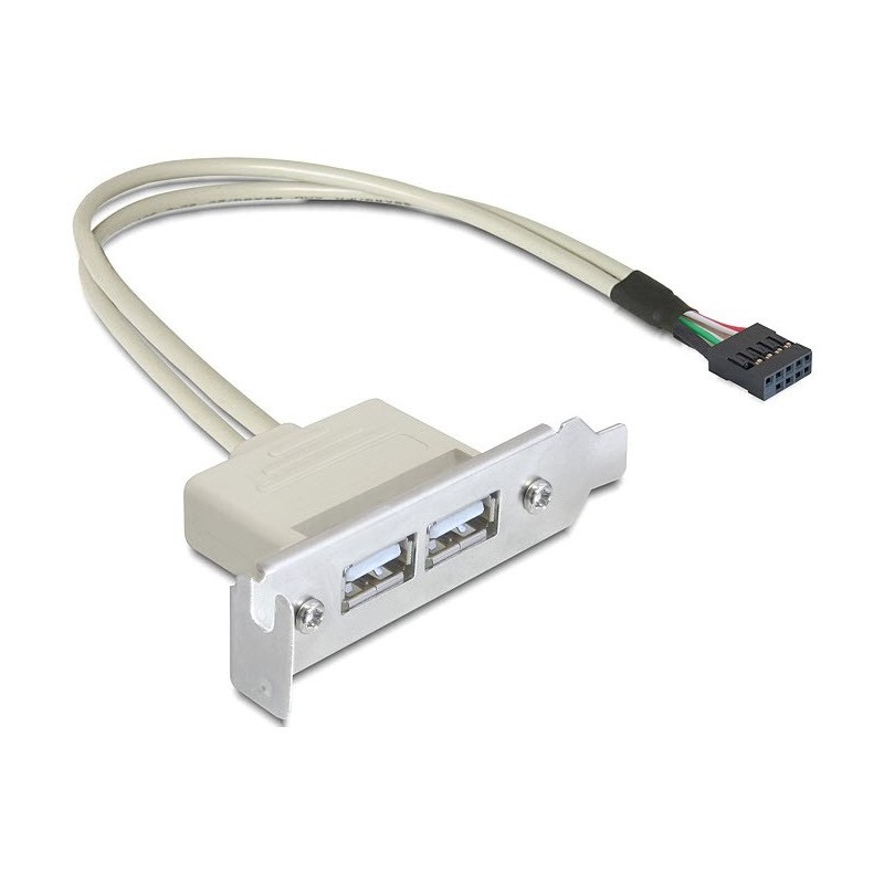 DeLOCK 0.5m Slotblech USB 2.0