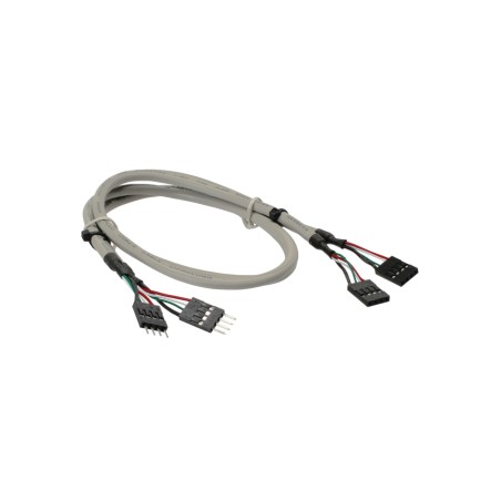 InLine Cavo USB 2.0 interno 2x4pin maschio   2x4pin femmina, prolunga, 0,60m