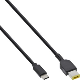 InLine Cavo di ricarica USB-C a Lenovo Notebook (rettangolare), 2m