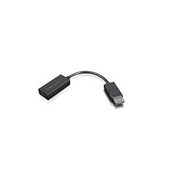 Lenovo 4X90R61023 cavo e adattatore video 0,225 m DisplayPort HDMI tipo A (Standard) Nero