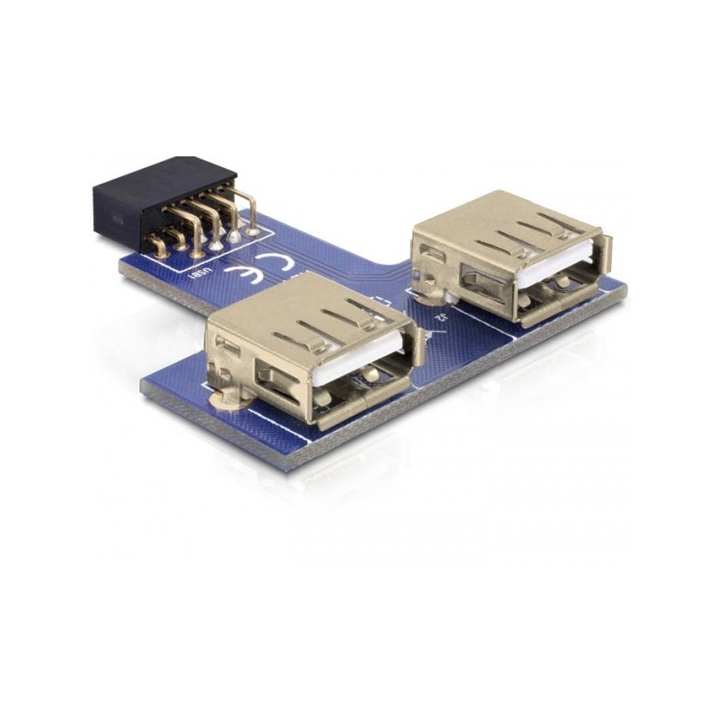 DeLOCK 9-pin 2.54 mm 2 x USB 2.0 1 x 9-pin 2.54 mm 2 x USB 2.0-A Nero, Blu, Argento