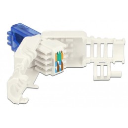 DeLOCK 86417 cavo di collegamento RJ-45 Blu, Bianco