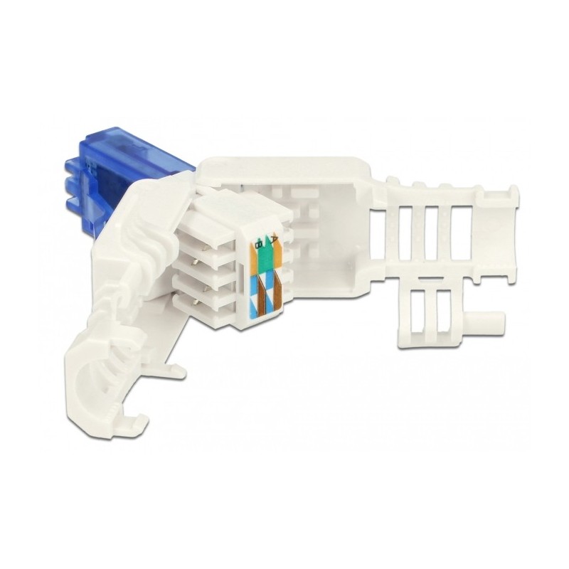 DeLOCK 86417 cavo di collegamento RJ-45 Blu, Bianco