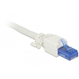 DeLOCK 86417 cavo di collegamento RJ-45 Blu, Bianco