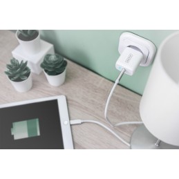 Digitus Adattatore di ricarica universale, USB-C™, 20 W