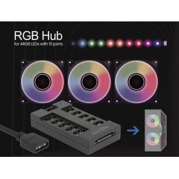 DeLOCK Hub RGB per LED ARGB con 10 porte