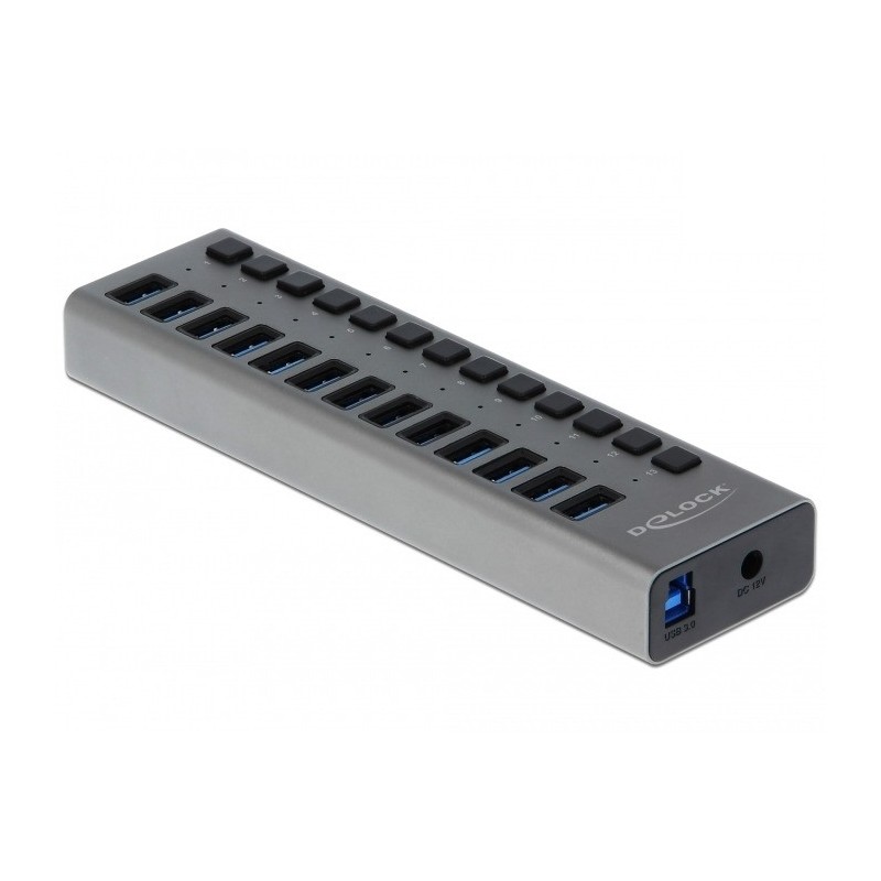 DeLOCK Hub USB 5 Gbps esterno con 13 porte + Switch