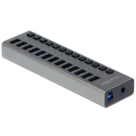 DeLOCK Hub USB 5 Gbps esterno con 13 porte + Switch