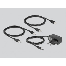 DeLOCK Interruttore USB 2.0 da 2 PC per 2 dispositivi