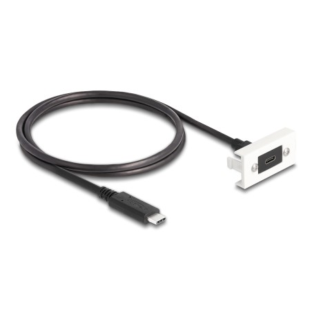 DeLOCK Modulo Easy 45 SuperSpeed USB 10 Gbps (USB 3.2 Gen 2) USB Type-C femmina per USB Type-C maschio con cavo corto, 22,5 x