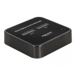 DeLOCK Docking Station M.2 per 2 x M.2 SATA SSD con funzione di clonazione