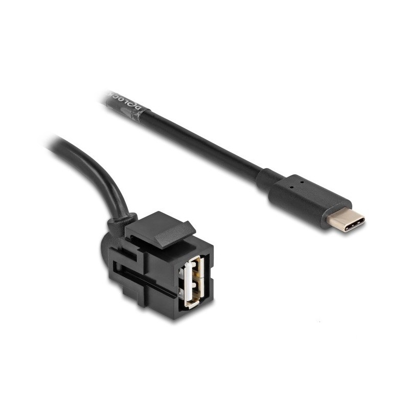 DeLOCK Modulo Keystone USB 2.0 A femmina  USB Type-C maschio 250° con cavo 1,5 m