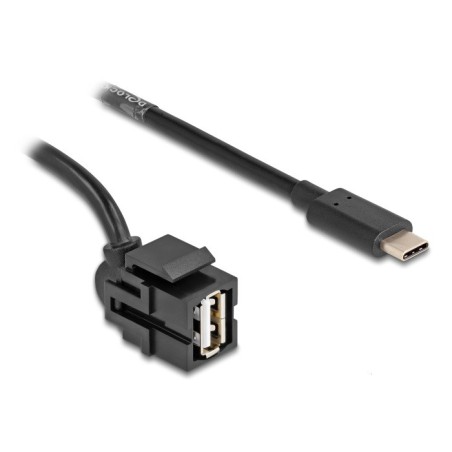 DeLOCK Modulo Keystone USB 2.0 A femmina  USB Type-C maschio 250° con cavo 1,5 m