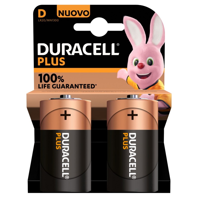 Duracell Plus 100 D B2 x10