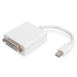 Digitus Cavo adattatore DisplayPort