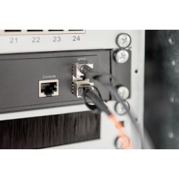 Digitus Cavo DAC SFP+ 10G da 7m