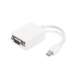 Digitus Cavo adattatore Mini DisplayPort - VGA