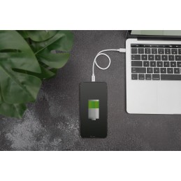 Digitus Cavo da Lightning a cavo dati di ricarica USB - C, certificato MFI