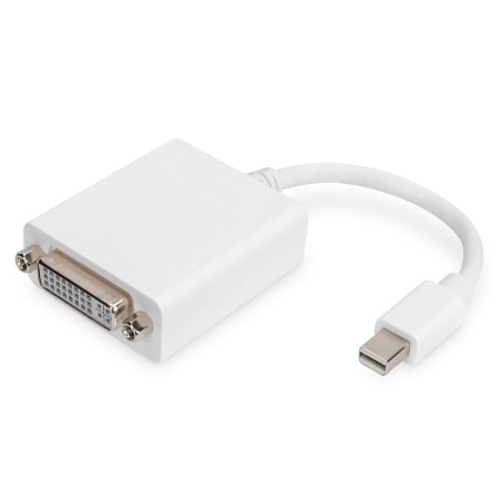 Digitus Adattatore   convertitore Mini DisplayPort, da Mini DP a DVI