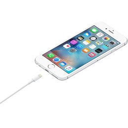 Apple Cavo da Lightning a USB (1 m)