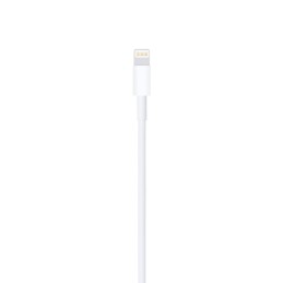 Apple Cavo da Lightning a USB (1 m)