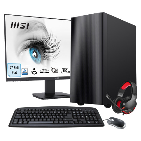 Hyrican SET02475 PC stazione di lavoro AMD Ryzen™ 5 5600G 32 GB DDR4-SDRAM 1 TB SSD Tower Nero