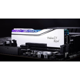 G.Skill F5-8400J4052G24GX2-TR5S memoria 48 GB 2 x 24 GB DDR5 8400 MHz