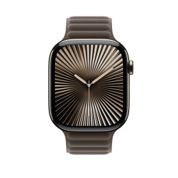 Apple Cinturino a maglie magnetico talpa scuro (46 mm) - S M