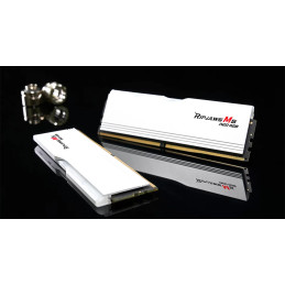 G.Skill Ripjaws M5 RGB F5-6000J3648D16GX2-RM5NRW memoria 32 GB 2 x 16 GB DDR5