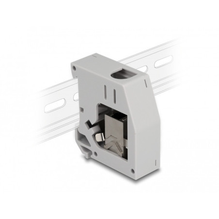 DeLOCK Adattatore per guida DIN con modulo Keystone RJ45 femmina per RJ45 femmina Cat.6A