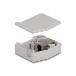 DeLOCK Adattatore per guida DIN con modulo Keystone RJ45 femmina per RJ45 femmina Cat.6A
