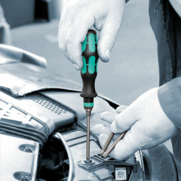 Wera Kraftform Kompakt 60 Set Cacciavite multifunzione