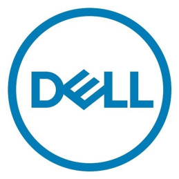 DELL 461-AAEN modulo per piattaforma fidata (TPM) 2.0