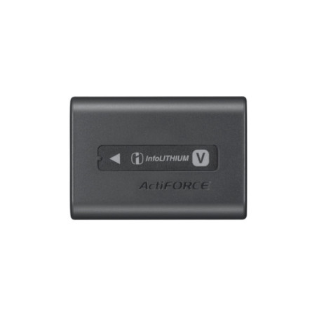 Sony NP-FV70A Ioni di Litio 1900 mAh
