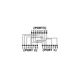InLine Duplicatore di porte Cat.5e, da spina RJ45 a 2x presa RJ45, 0,15m