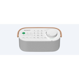 Sony SRS-LSR200 altoparlante portatile e per feste Bianco