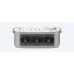 Sony SRS-LSR200 altoparlante portatile e per feste Bianco