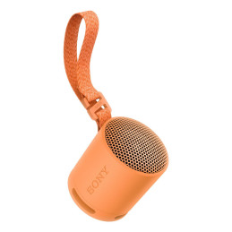 Sony SRS-XB100 - Speaker Wireless Bluetooth, portatile, leggero, compatto, da esterno, da viaggio, resistente IP67 impermeabile
