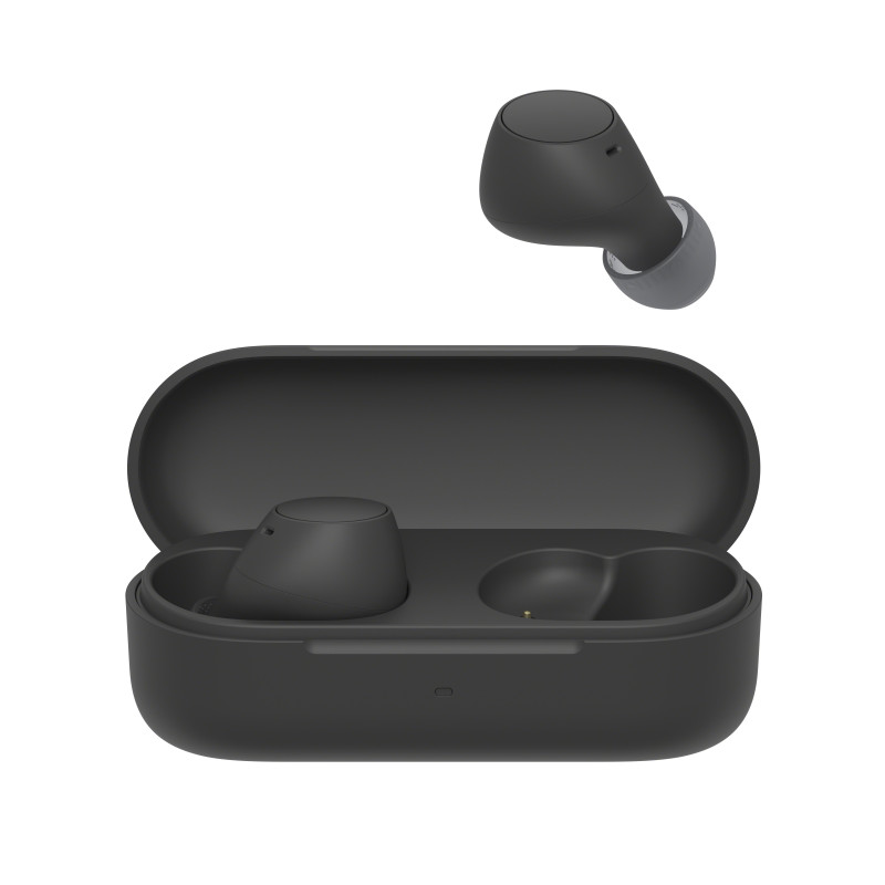 Sony WF-C510 | Cuffie True Wireless - Suono di alta qualità, Equalizzatore personalizzabile, Design Confortevole, Batteria da Sony WF-C510 | Cuffie True Wireless - Suono di alta qualità, Equalizzatore personalizzabile, Design Confortevole, Batteria da