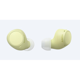 Sony WF-C510 | Cuffie True Wireless - Suono di alta qualità, Equalizzatore personalizzabile, Design Confortevole, Batteria da