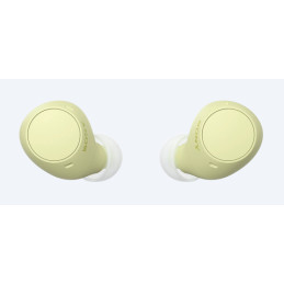 Sony WF-C510 | Cuffie True Wireless - Suono di alta qualità, Equalizzatore personalizzabile, Design Confortevole, Batteria da