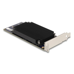 DeLOCK 31416 scheda di interfaccia e adattatore Interno