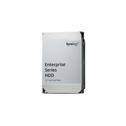 Synology Enterprise disco rigido interno 20 TB 7200 Giri min 512 MB 3.5" Serial ATA III
